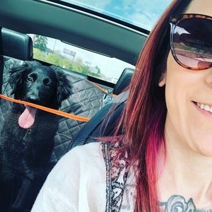 Meet your Posher, Alexa